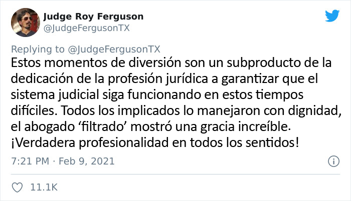 "Creo que tiene un filtro activado": Un abogado se presenta accidentalmente con un filtro de gato en una audiencia judicial vía Zoom