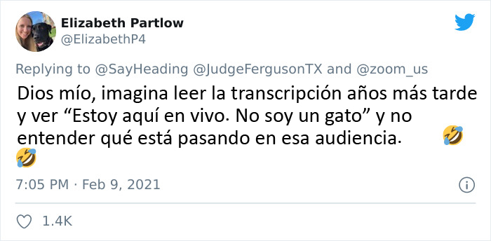 "Creo que tiene un filtro activado": Un abogado se presenta accidentalmente con un filtro de gato en una audiencia judicial vía Zoom