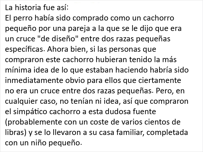 Este veterinario se vio obligado a sacrificar a un cachorro sano y pide a la gente que se lo piense bien antes de adquirir un perro durante el confinamiento