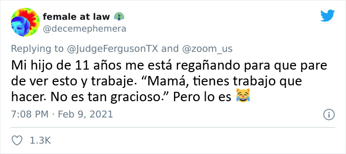 "Creo que tiene un filtro activado": Un abogado se presenta accidentalmente con un filtro de gato en una audiencia judicial vía Zoom