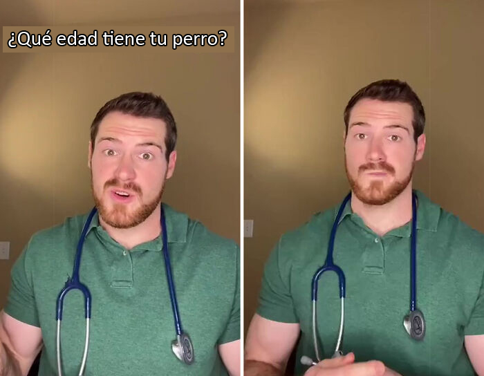Este veterinario explica cómo contar los años de los perros, y parece que 1 año humano no equivale a 7 años en un perro