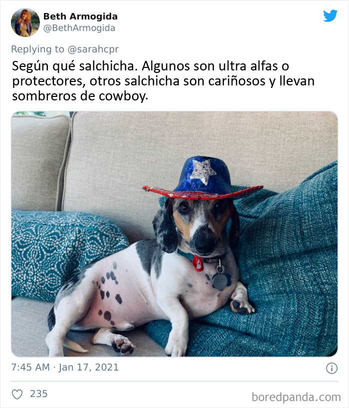 30 Tweets By Dachshund Owners About How It Feels To Have Such Personalities As Pets