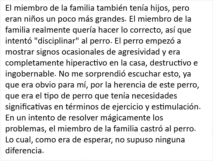 Este veterinario se vio obligado a sacrificar a un cachorro sano y pide a la gente que se lo piense bien antes de adquirir un perro durante el confinamiento