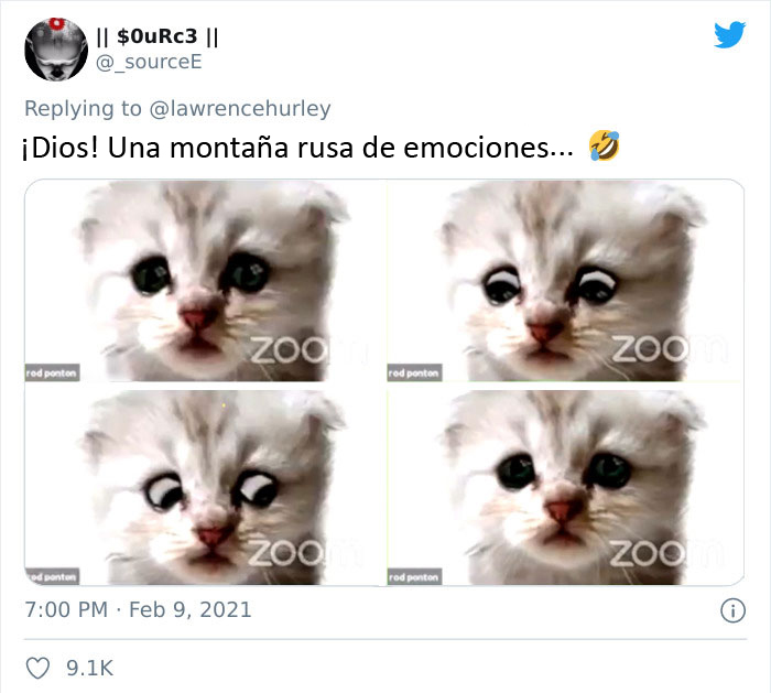 "Creo que tiene un filtro activado": Un abogado se presenta accidentalmente con un filtro de gato en una audiencia judicial vía Zoom
