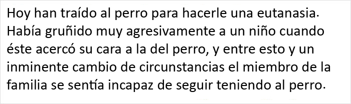 Este veterinario se vio obligado a sacrificar a un cachorro sano y pide a la gente que se lo piense bien antes de adquirir un perro durante el confinamiento