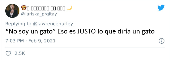 "Creo que tiene un filtro activado": Un abogado se presenta accidentalmente con un filtro de gato en una audiencia judicial vía Zoom