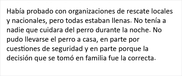 Este veterinario se vio obligado a sacrificar a un cachorro sano y pide a la gente que se lo piense bien antes de adquirir un perro durante el confinamiento