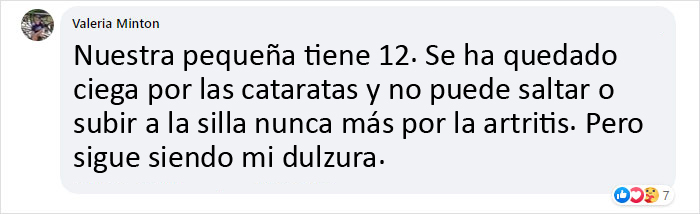 Este veterinario explica cómo contar los años de los perros, y parece que 1 año humano no equivale a 7 años en un perro