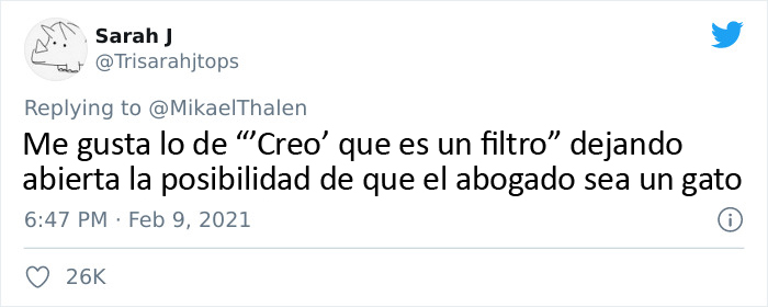 "Creo que tiene un filtro activado": Un abogado se presenta accidentalmente con un filtro de gato en una audiencia judicial vía Zoom