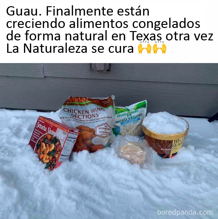 La Naturaleza se está curando