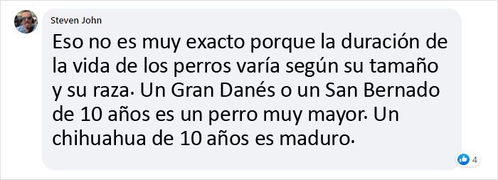 Este veterinario explica cómo contar los años de los perros, y parece que 1 año humano no equivale a 7 años en un perro