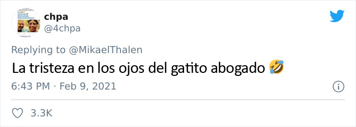 "Creo que tiene un filtro activado": Un abogado se presenta accidentalmente con un filtro de gato en una audiencia judicial vía Zoom