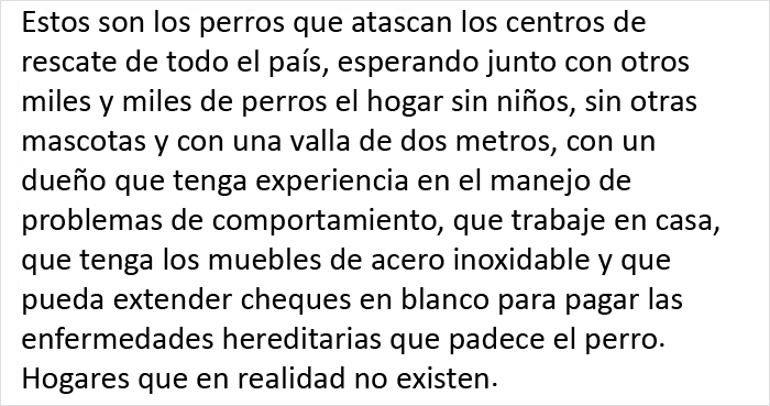 Este veterinario se vio obligado a sacrificar a un cachorro sano y pide a la gente que se lo piense bien antes de adquirir un perro durante el confinamiento
