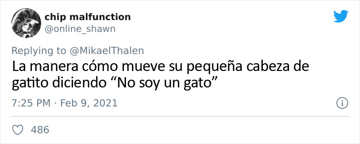 "Creo que tiene un filtro activado": Un abogado se presenta accidentalmente con un filtro de gato en una audiencia judicial vía Zoom