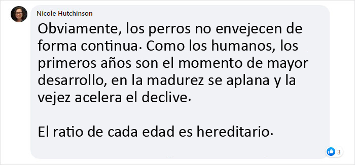 Este veterinario explica cómo contar los años de los perros, y parece que 1 año humano no equivale a 7 años en un perro