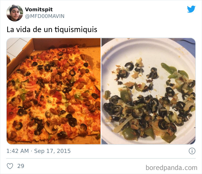 45 Jokes And Memes That Have Picky Eaters Feeling Called Out