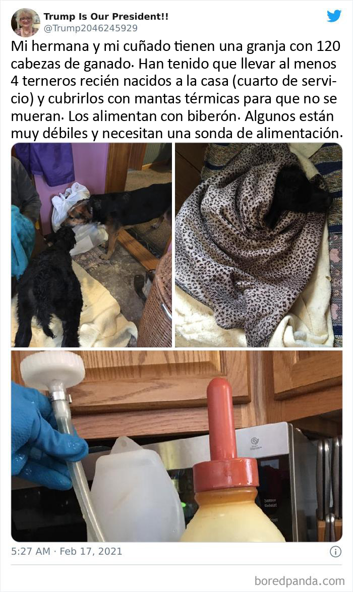 Texans Are Bringing Farm And Wild Animals Inside To Keep Them Warm During The Cold Wave (19 Pics)
