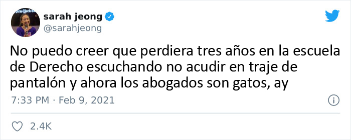 "Creo que tiene un filtro activado": Un abogado se presenta accidentalmente con un filtro de gato en una audiencia judicial vía Zoom