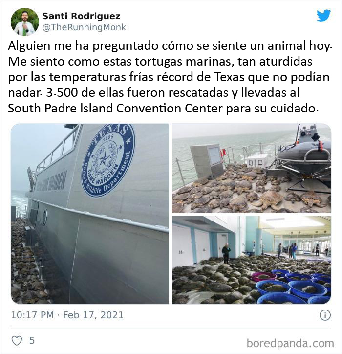 Texans Are Bringing Farm And Wild Animals Inside To Keep Them Warm During The Cold Wave (19 Pics)