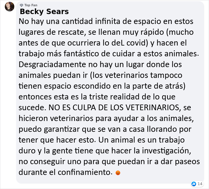 Este veterinario se vio obligado a sacrificar a un cachorro sano y pide a la gente que se lo piense bien antes de adquirir un perro durante el confinamiento