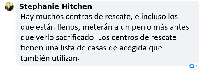 Este veterinario se vio obligado a sacrificar a un cachorro sano y pide a la gente que se lo piense bien antes de adquirir un perro durante el confinamiento