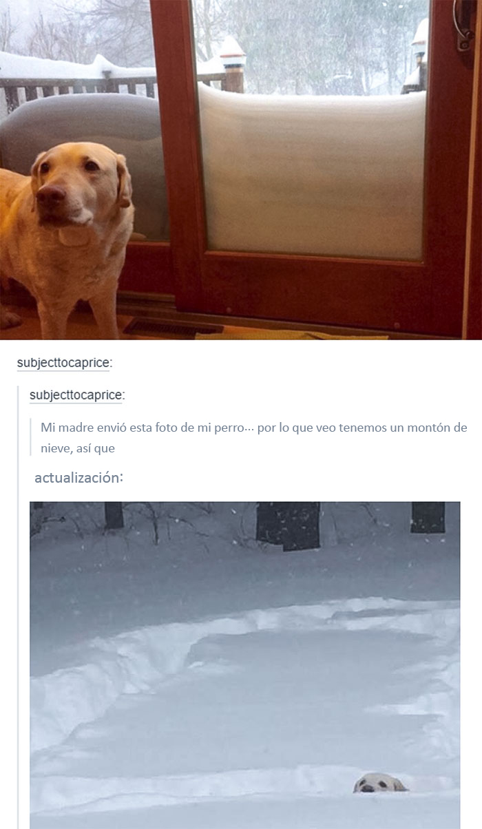 Esto es mucha nieve
