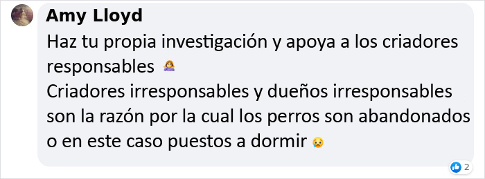Este veterinario se vio obligado a sacrificar a un cachorro sano y pide a la gente que se lo piense bien antes de adquirir un perro durante el confinamiento