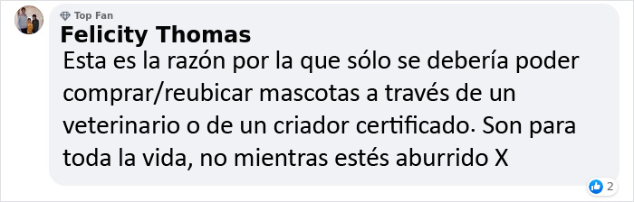 Este veterinario se vio obligado a sacrificar a un cachorro sano y pide a la gente que se lo piense bien antes de adquirir un perro durante el confinamiento