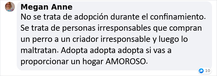 Este veterinario se vio obligado a sacrificar a un cachorro sano y pide a la gente que se lo piense bien antes de adquirir un perro durante el confinamiento