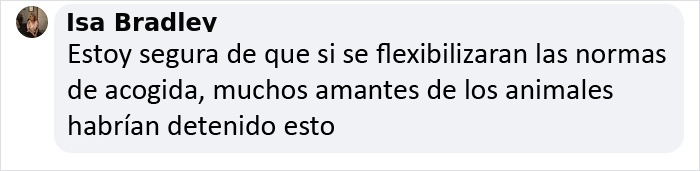 Este veterinario se vio obligado a sacrificar a un cachorro sano y pide a la gente que se lo piense bien antes de adquirir un perro durante el confinamiento
