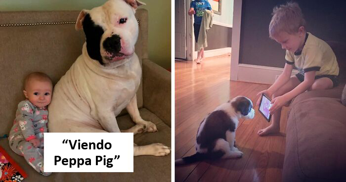 Si después de ver esto no piensas que tus hijos necesitan un perro, es que debes ser un gato (Nuevas fotos)