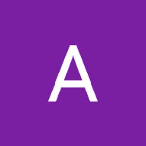 anselmoferrariarroyo avatar