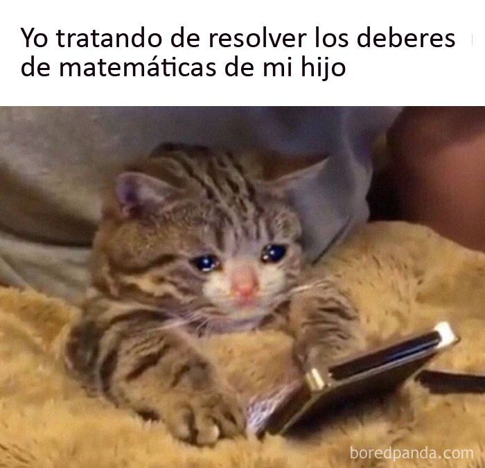 40 Memes For Parents Who Can't Take Their Kids Learning From Home Anymore