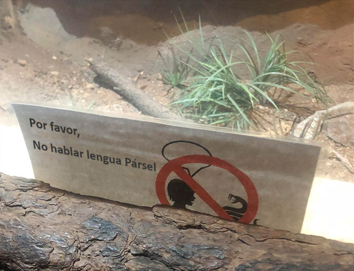 Lo que encontré en una exposición de una serpiente