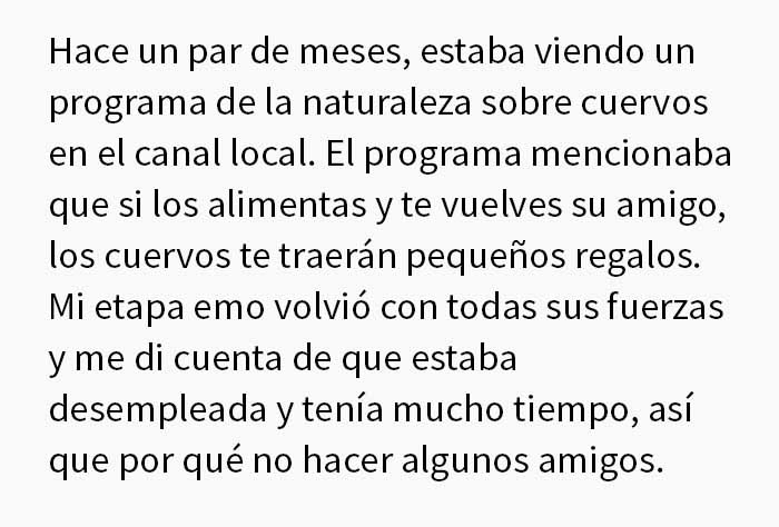 Esta mujer comparte cómo creó un "ejército de cuervos" alimentándolos, y posiblemente salvaron la vida de un vecino