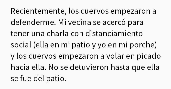 Esta mujer comparte cómo creó un "ejército de cuervos" alimentándolos, y posiblemente salvaron la vida de un vecino