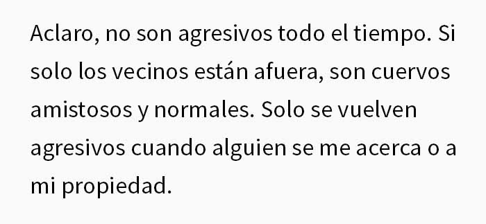 Esta mujer comparte cómo creó un "ejército de cuervos" alimentándolos, y posiblemente salvaron la vida de un vecino