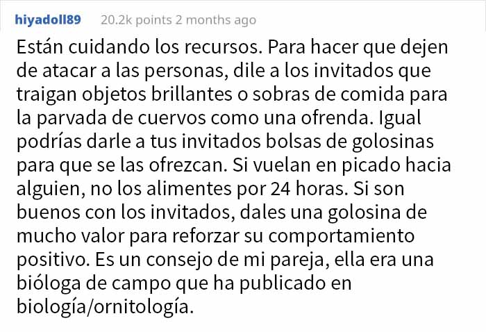 Esta mujer comparte cómo creó un "ejército de cuervos" alimentándolos, y posiblemente salvaron la vida de un vecino