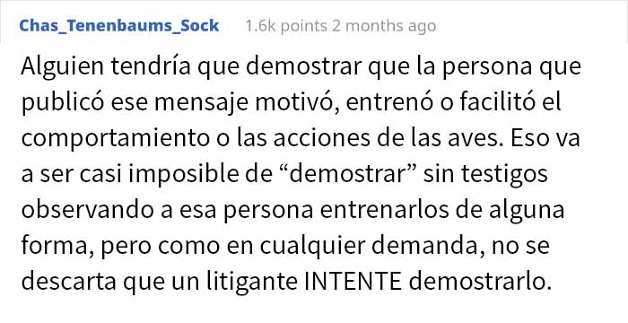 Esta mujer comparte cómo creó un "ejército de cuervos" alimentándolos, y posiblemente salvaron la vida de un vecino