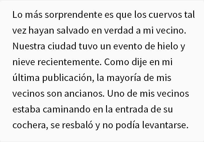 Esta mujer comparte cómo creó un "ejército de cuervos" alimentándolos, y posiblemente salvaron la vida de un vecino