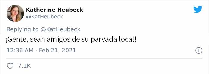 Esta mujer comparte cómo creó un "ejército de cuervos" alimentándolos, y posiblemente salvaron la vida de un vecino