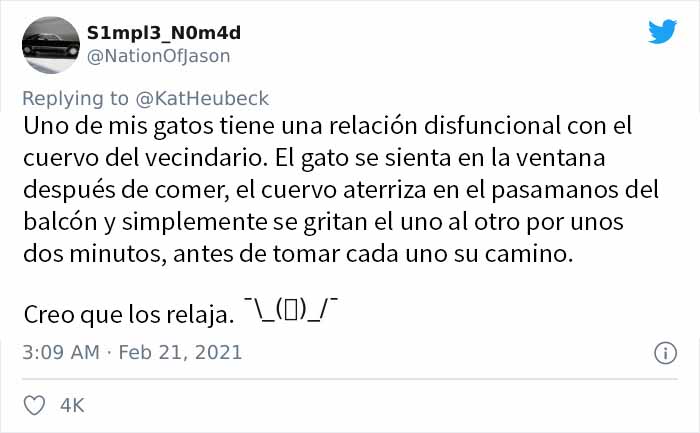 Esta mujer comparte cómo creó un "ejército de cuervos" alimentándolos, y posiblemente salvaron la vida de un vecino