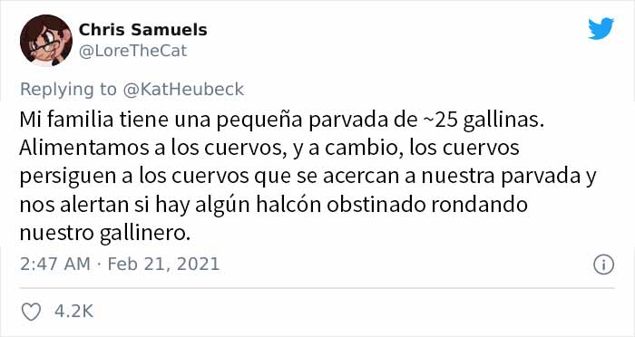Esta mujer comparte cómo creó un "ejército de cuervos" alimentándolos, y posiblemente salvaron la vida de un vecino