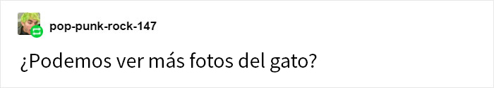 Esta gata silvestre decidió que quería vivir con humanos, así que se autoinvitó a una casa y nunca se fue