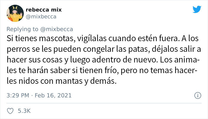 La gente de lugares con duros inviernos comparte consejos para los que se enfrentan en Texas a la situación actual