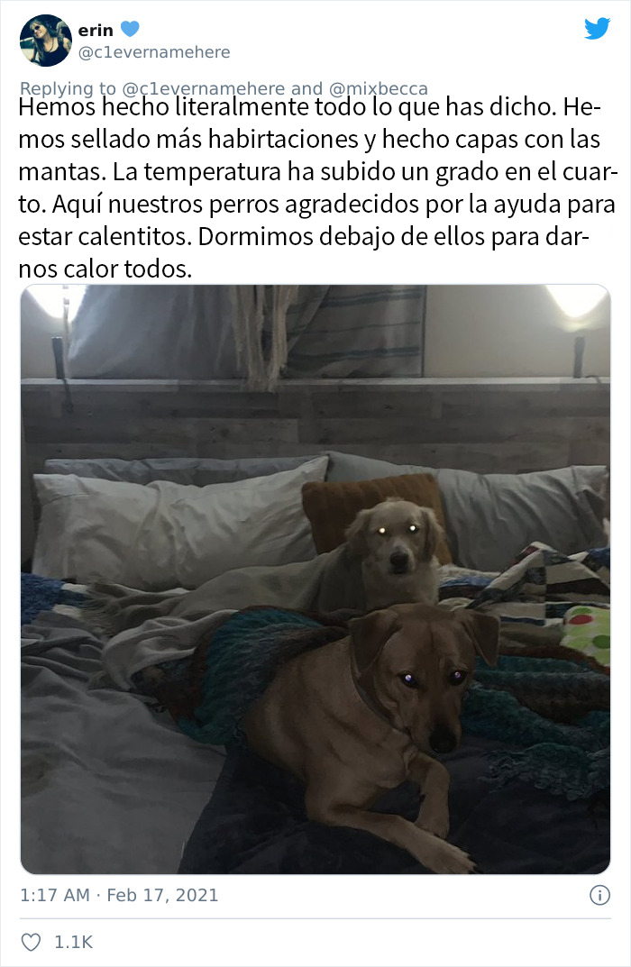 La gente de lugares con duros inviernos comparte consejos para los que se enfrentan en Texas a la situación actual