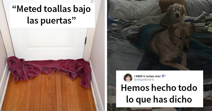 La gente de lugares con duros inviernos comparte consejos para los que se enfrentan en Texas a la situación actual