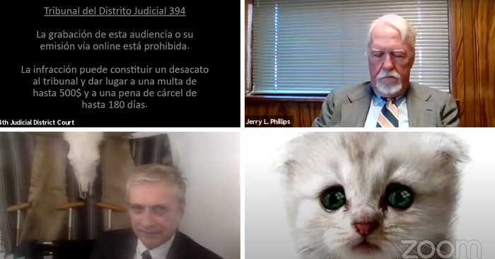 «Creo que tiene un filtro activado»: Un abogado se presenta accidentalmente con un filtro de gato en una audiencia judicial vía Zoom