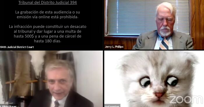 "Creo que tiene un filtro activado": Un abogado se presenta accidentalmente con un filtro de gato en una audiencia judicial vía Zoom