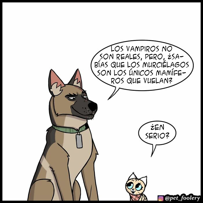 8 Nuevos cómics tan adorables como divertidos de Pixie y Brutus para alegrarte el día